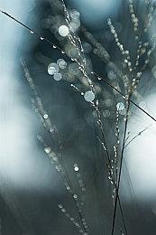 《守望先锋2》开发人员：炸鱼行为困扰颇深